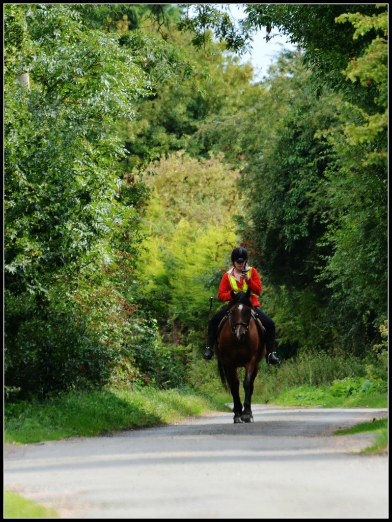 Rider of Wood Lane by rosiekind