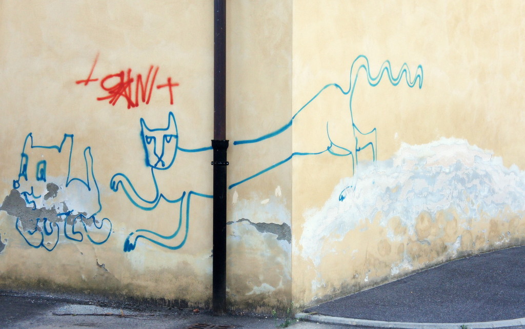 Graffiti cat by boxplayer