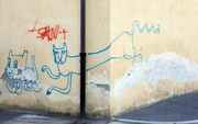 15th Aug 2014 - Graffiti cat