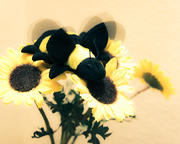 17th Aug 2014 - (Day 185) - Fake Flowers for a Toy Bee