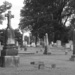 cemetery by randystreat