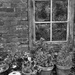 Potting shed window by judithdeacon