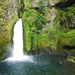 Wahclella Falls, Columbia River Gorge, Oregon by vickisfotos