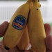 Little Gorilla Fruit by digitalrn