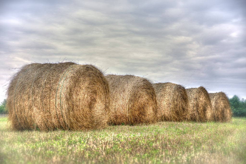 Hay Bales on a Cloudy Day by taffy