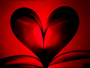 18th Aug 2014 - The book of hearts