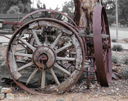 19th Aug 2014 - Wagon wheels