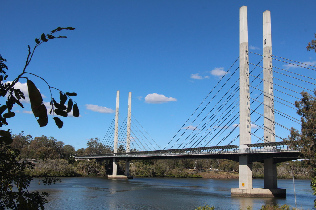My Brisbane 41 - The Green Bridge by terryliv