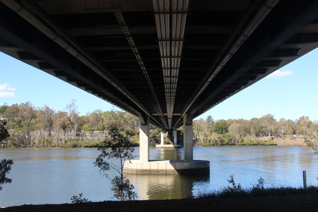 My Brisbane 41 - The Green Bridge 3 by terryliv