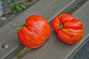 19th Aug 2014 - Two tomatoes on a bench...