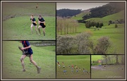 20th Aug 2014 - X-Country finals..