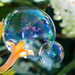 Tiny Bubbles by cdonohoue