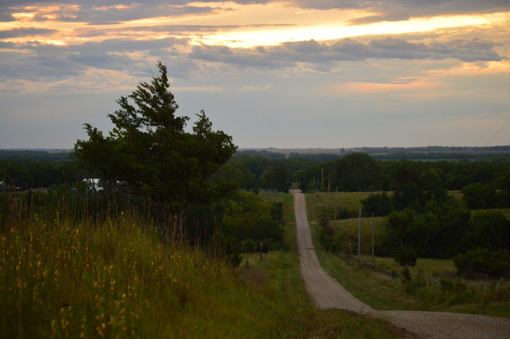 Kansas Country Road by kareenking