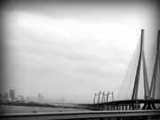 19th Aug 2014 - The Sealink