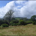 Welsh Landscape by judithdeacon