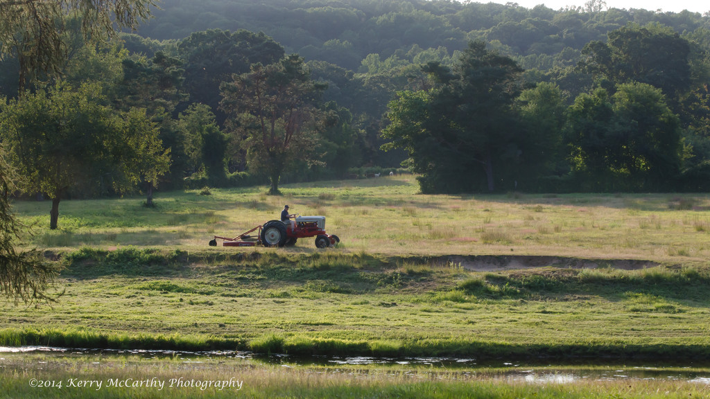 Late day mowing by mccarth1