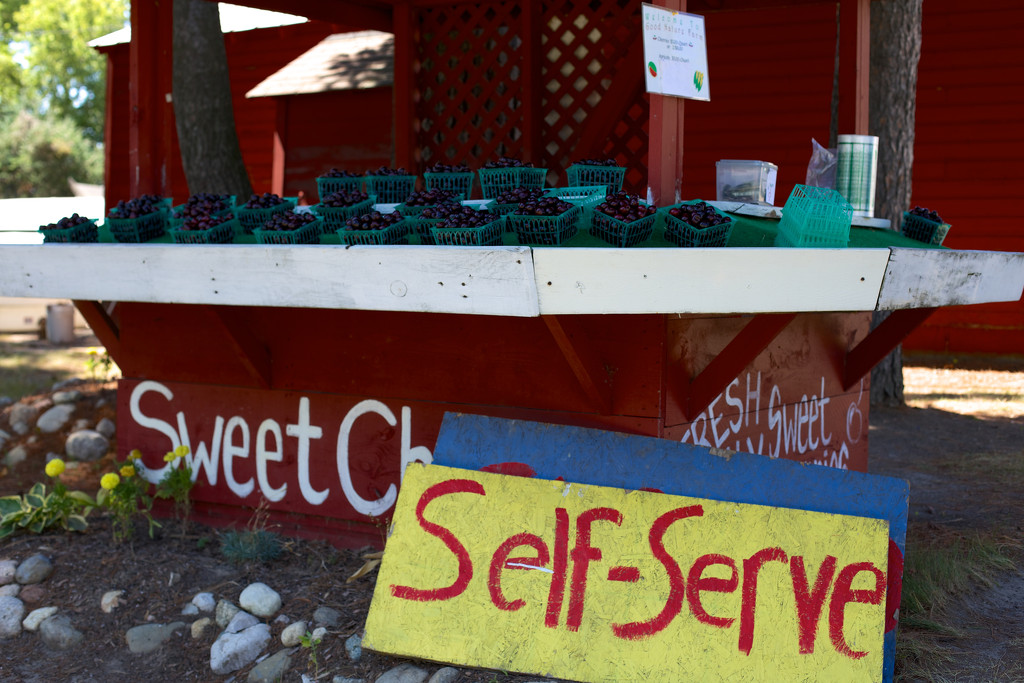 Self-Serve Michigan Sweet Cherries by jyokota