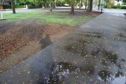 21st Aug 2014 - Rain puddles and my shadow
