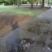 Rain puddles and my shadow by congaree