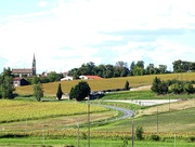 20th Aug 2014 - Rural France