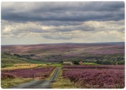 21st Aug 2014 - Over the hills.......