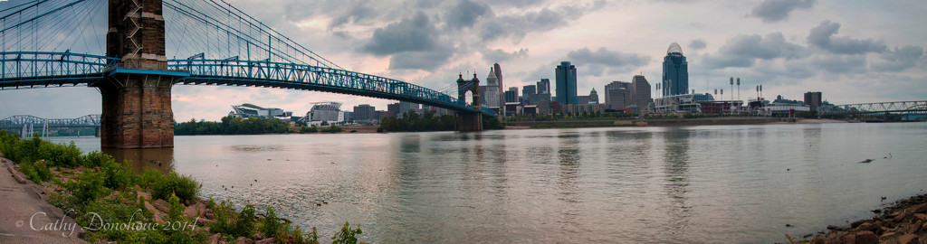 Bridges - Welcome to Cincinnati by cdonohoue