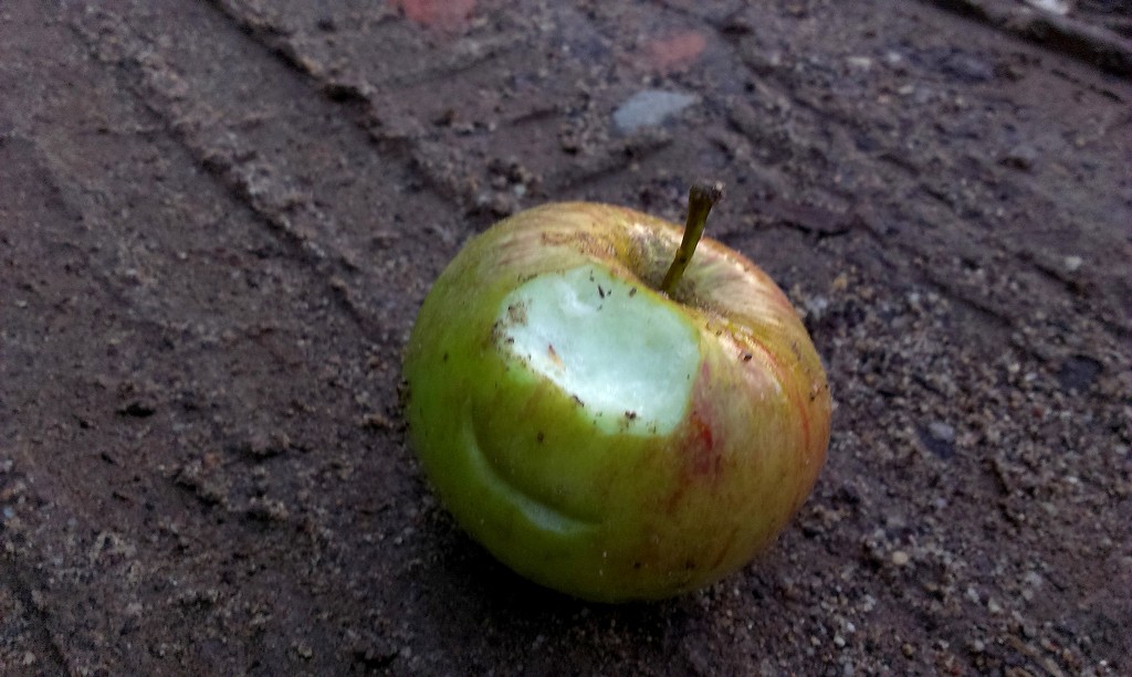 Summer apple by pavlina
