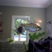 Fish Tank by lizzybean
