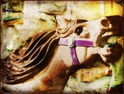 21st Aug 2014 - Vintage Merry-go-round Horse