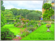 22nd Aug 2014 - Coton Manor Gardens