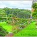 Coton Manor Gardens by carolmw