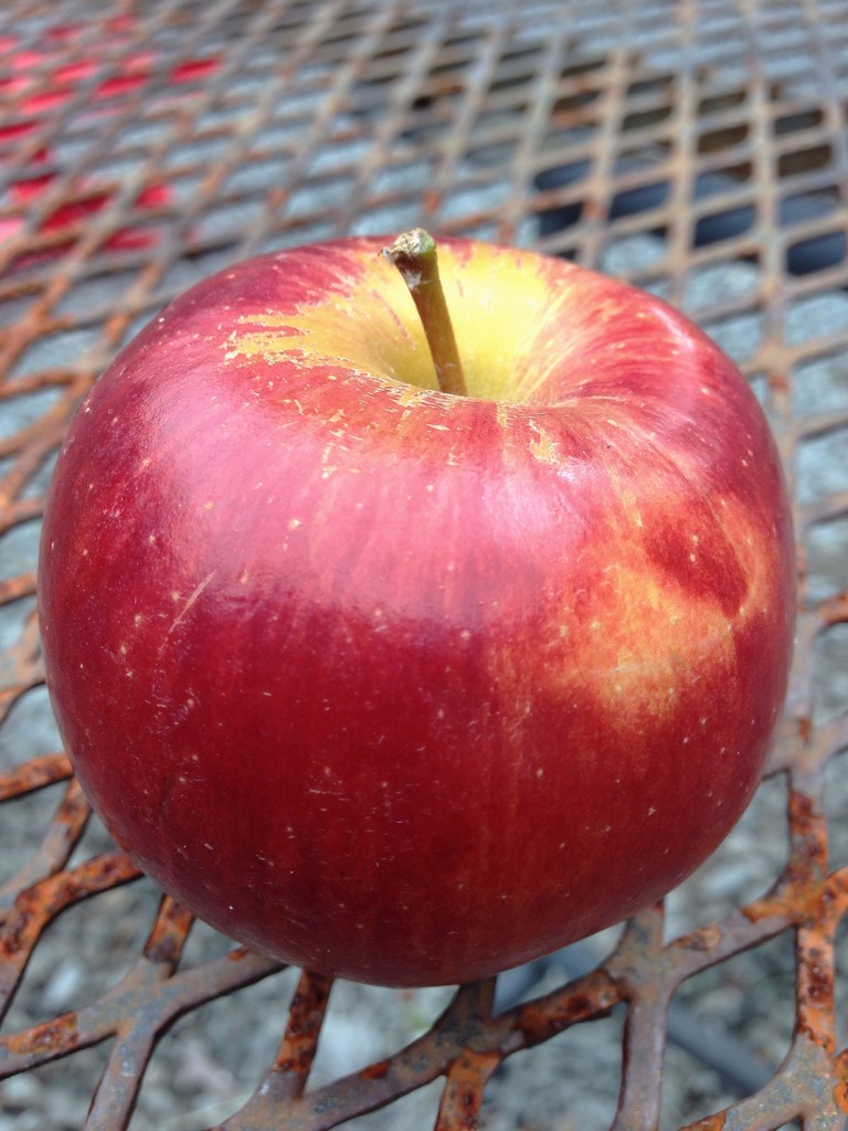 Braeburn apple by overalvandaan