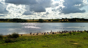 22nd Aug 2014 - 22nd August 2014 - Pitsford Resevoir