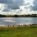 22nd August 2014 - Pitsford Resevoir by pamknowler