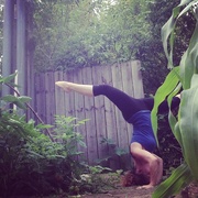 21st Aug 2014 - Garden yoga 
