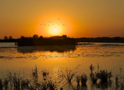 22nd Aug 2014 - Sunset on the Marshland