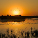 Sunset on the Marshland by joysfocus