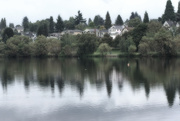 22nd Aug 2014 - The Beauty Of Greenlake