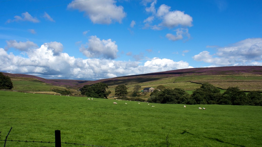 Shadows over Harrissend Fell by happypat