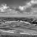 View across the North Yorkshire Moors by seanoneill