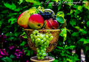 23rd Aug 2014 - Fruit From The Garden