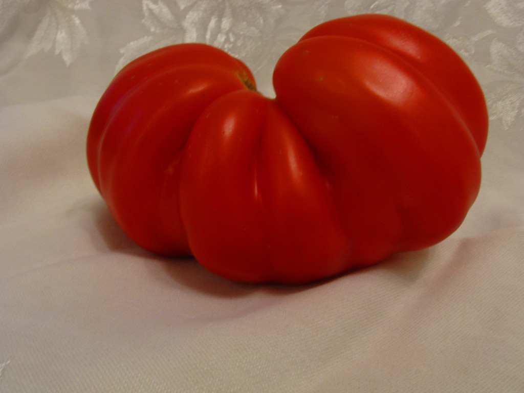Tomato by april16