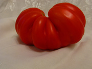 22nd Aug 2014 - Tomato