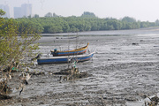 24th Aug 2014 - Muddy low tide Gurney bay