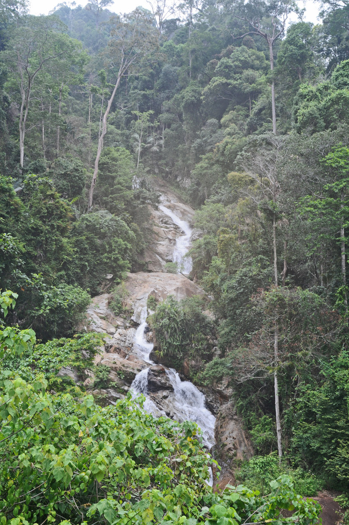 Jungle waterfall, Perak by ianjb21
