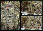 22nd Aug 2014 - THE PICCOLOMINI LIBRARY