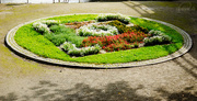 24th Aug 2014 - Flowerbeds