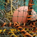 2014 08 20 Crayfish Traps by kwiksilver