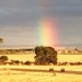Grainy rainbow by callymazoo