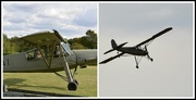 24th Aug 2014 - The Storch